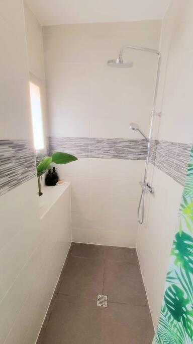 Superbe T2 Cosy Plein Centre Lejlighed Narbonne Eksteriør billede